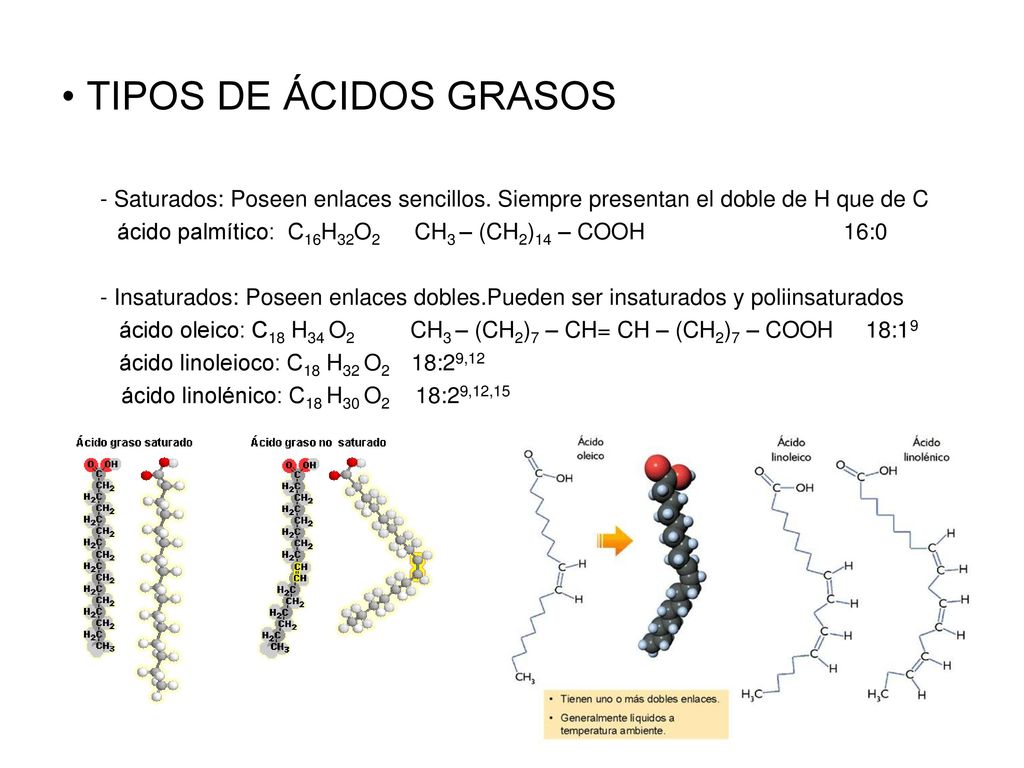 TIPOS DE ÁCIDOS GRASOS - Saturados: Poseen enlaces sencillos. Siempre presentan el doble de H que de C.