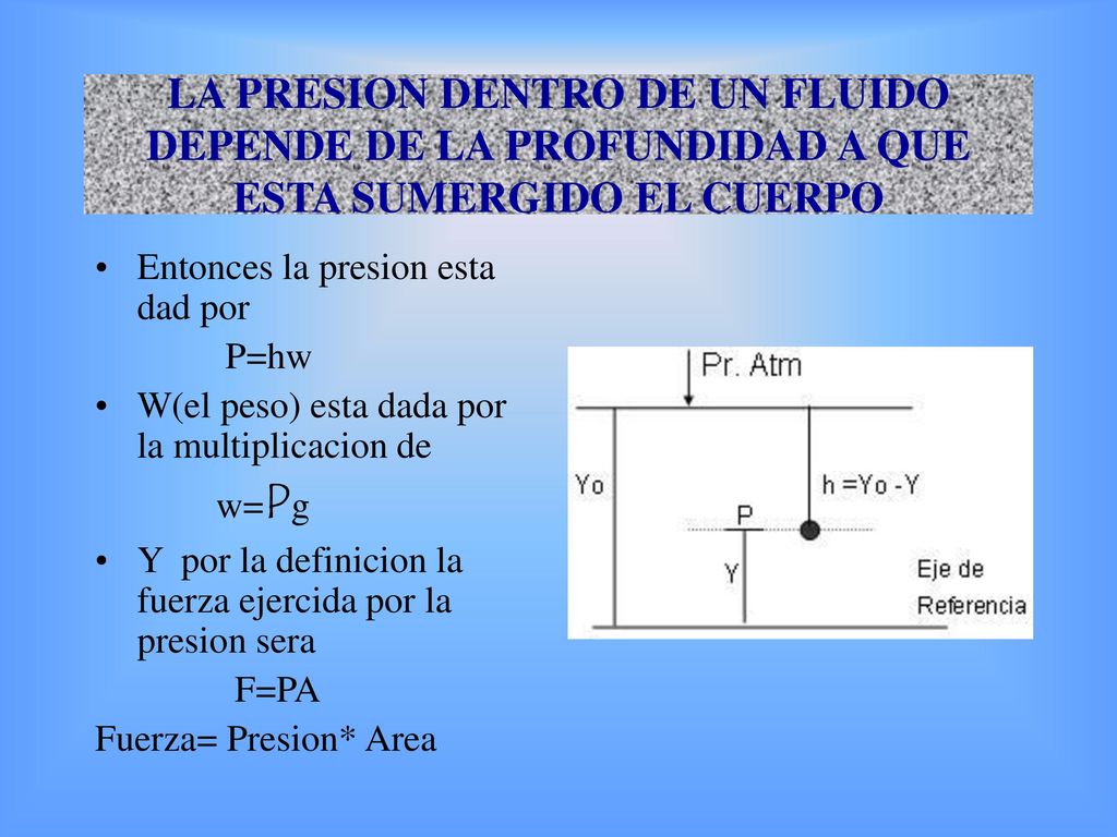 LA PRESION DENTRO DE UN FLUIDO DEPENDE DE LA PROFUNDIDAD A QUE ESTA SUMERGIDO EL CUERPO
