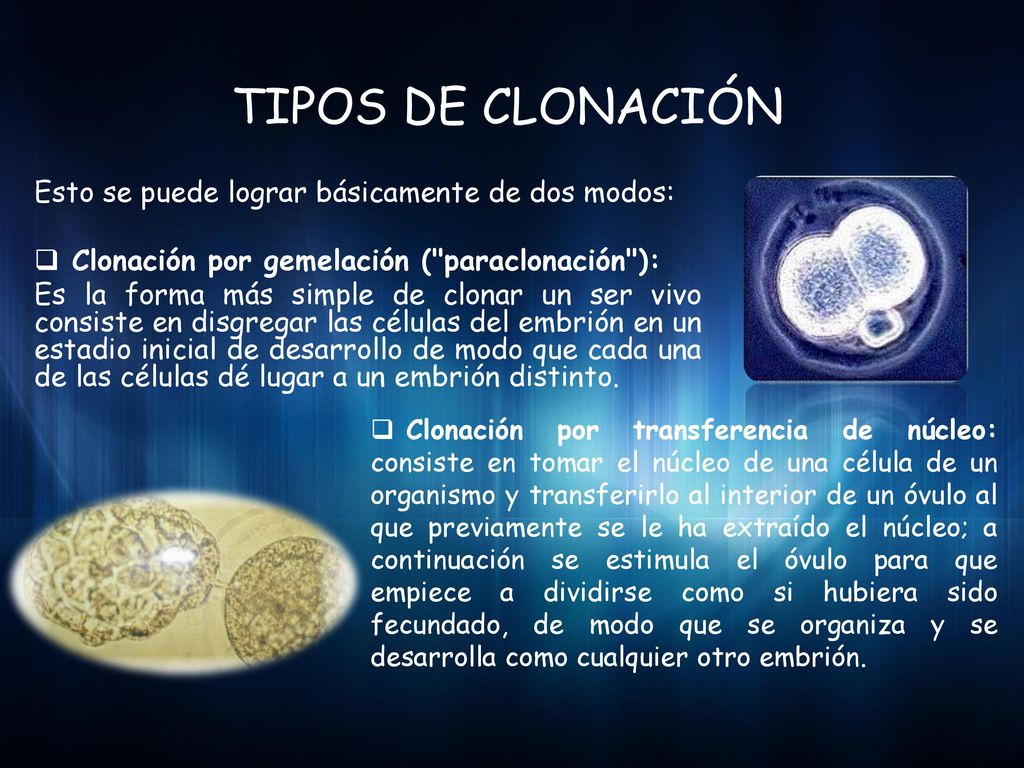 TIPOS DE CLONACIÓN Esto se puede lograr básicamente de dos modos: