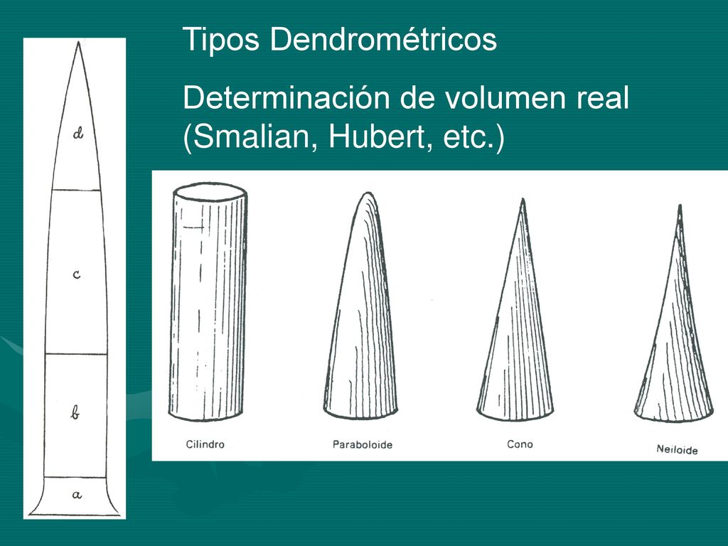 Tipos Dendrométricos Determinación de volumen real (Smalian, Hubert, etc.)