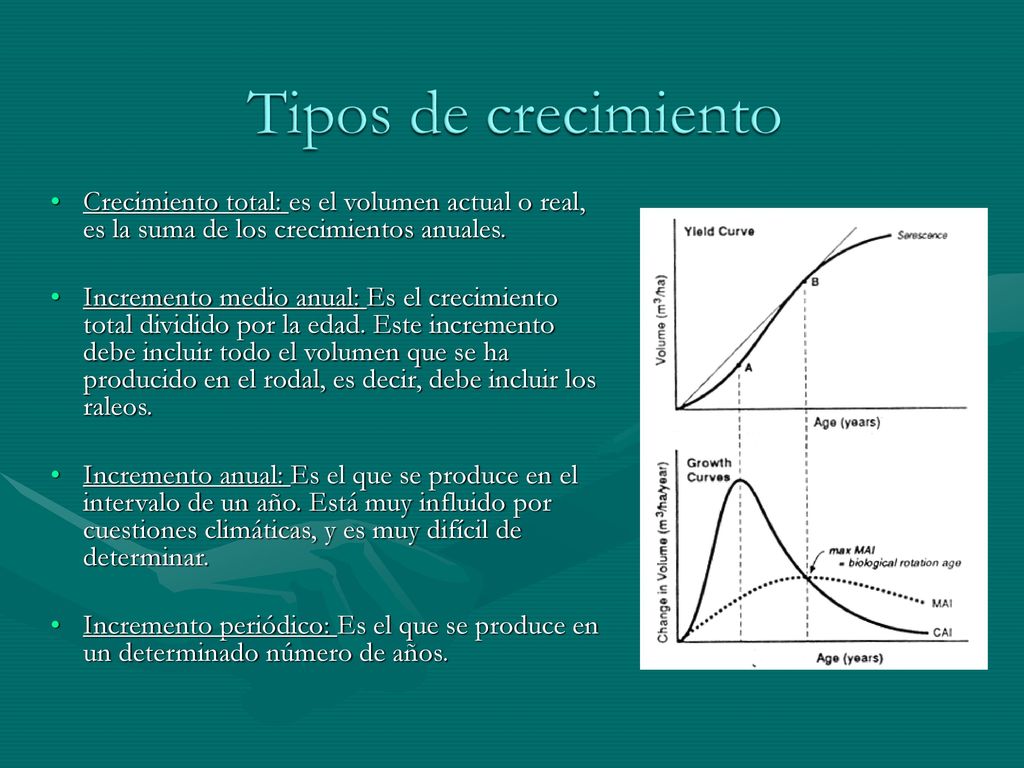 Tipos de crecimiento Crecimiento total: es el volumen actual o real, es la suma de los crecimientos anuales.