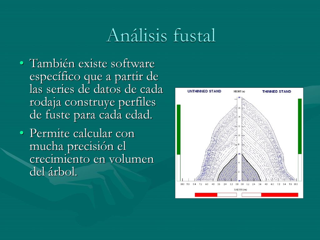 Análisis fustal También existe software específico que a partir de las series de datos de cada rodaja construye perfiles de fuste para cada edad.