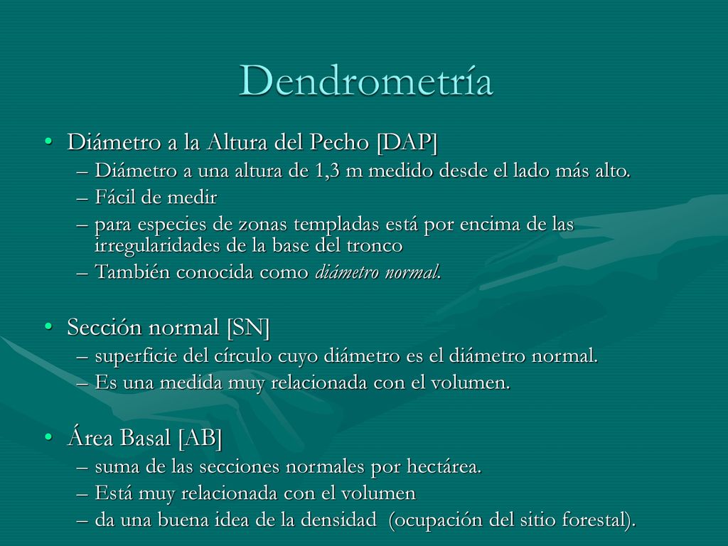 Dendrometría Diámetro a la Altura del Pecho [DAP] Sección normal [SN]
