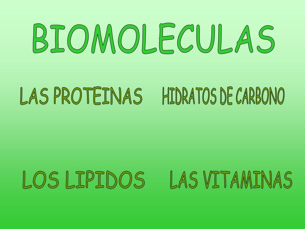 BIOMOLECULAS LAS PROTEINAS HIDRATOS DE CARBONO LOS LIPIDOS LAS VITAMINAS