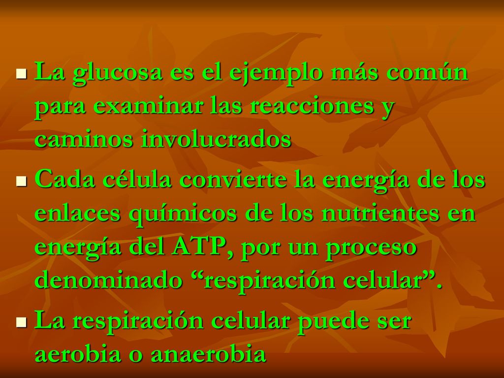 La glucosa es el ejemplo más común para examinar las reacciones y caminos involucrados
