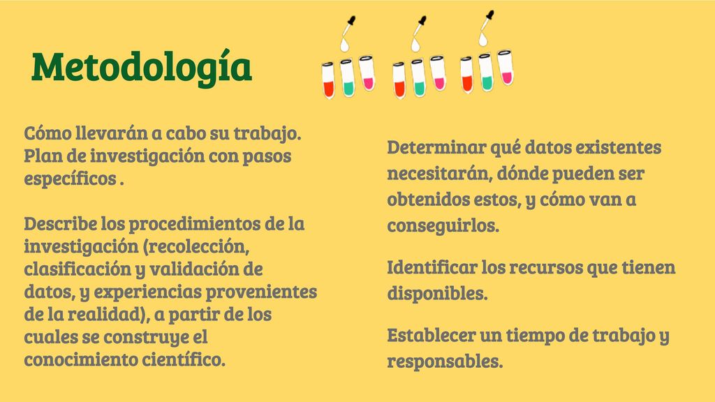 Metodología Determinar qué datos existentes necesitarán, dónde pueden ser obtenidos estos, y cómo van a conseguirlos.