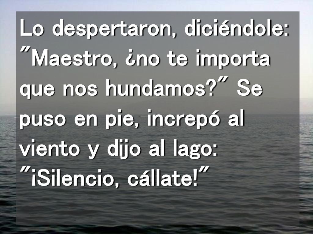 Lo despertaron, diciéndole: Maestro, ¿no te importa que nos hundamos