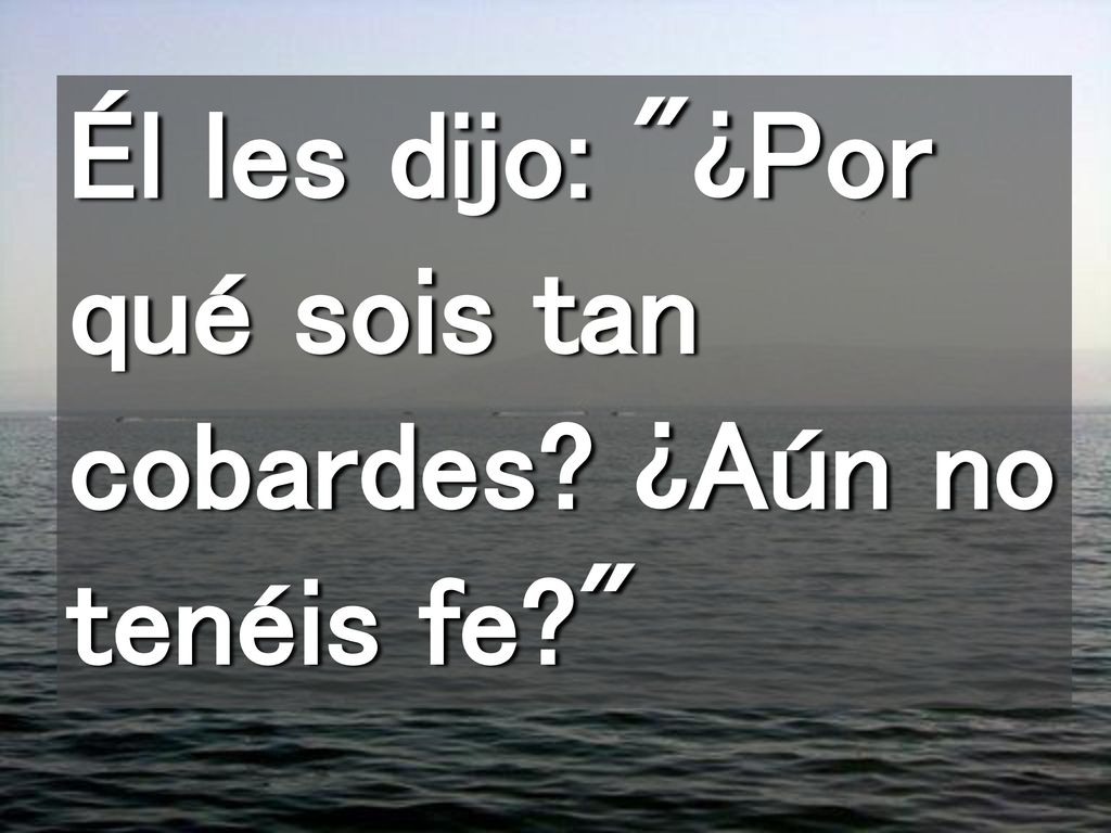 Él les dijo: ¿Por qué sois tan cobardes ¿Aún no tenéis fe