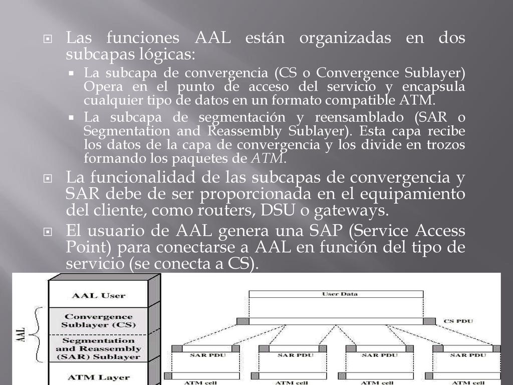 Las funciones AAL están organizadas en dos subcapas lógicas: