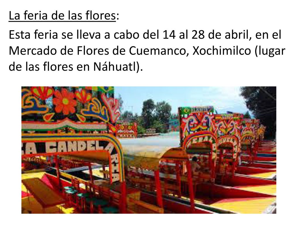 La feria de las flores: Esta feria se lleva a cabo del 14 al 28 de abril, en el Mercado de Flores de Cuemanco, Xochimilco (lugar de las flores en Náhuatl).