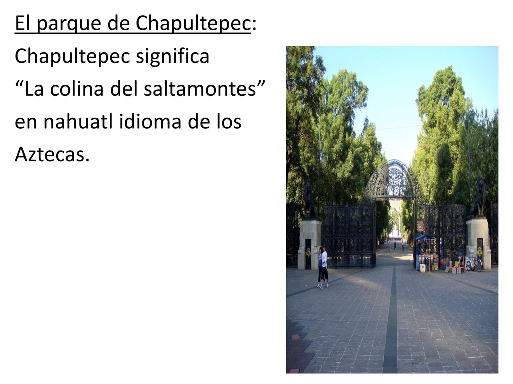 El parque de Chapultepec: Chapultepec significa La colina del saltamontes en nahuatl idioma de los Aztecas.