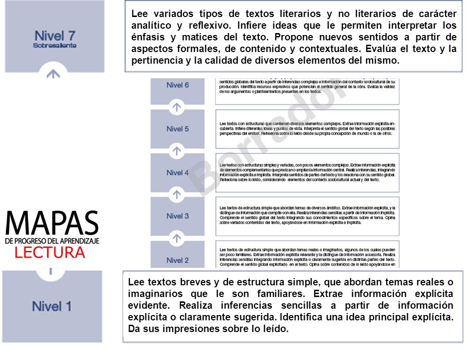 Lee variados tipos de textos literarios y no literarios de carácter analítico y reflexivo. Infiere ideas que le permiten interpretar los énfasis y matices del texto. Propone nuevos sentidos a partir de aspectos formales, de contenido y contextuales. Evalúa el texto y la pertinencia y la calidad de diversos elementos del mismo.