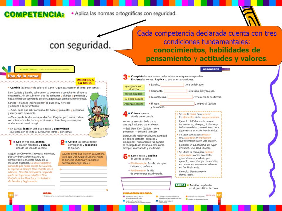 Cada competencia declarada cuenta con tres condiciones fundamentales: conocimientos, habilidades de pensamiento y actitudes y valores.