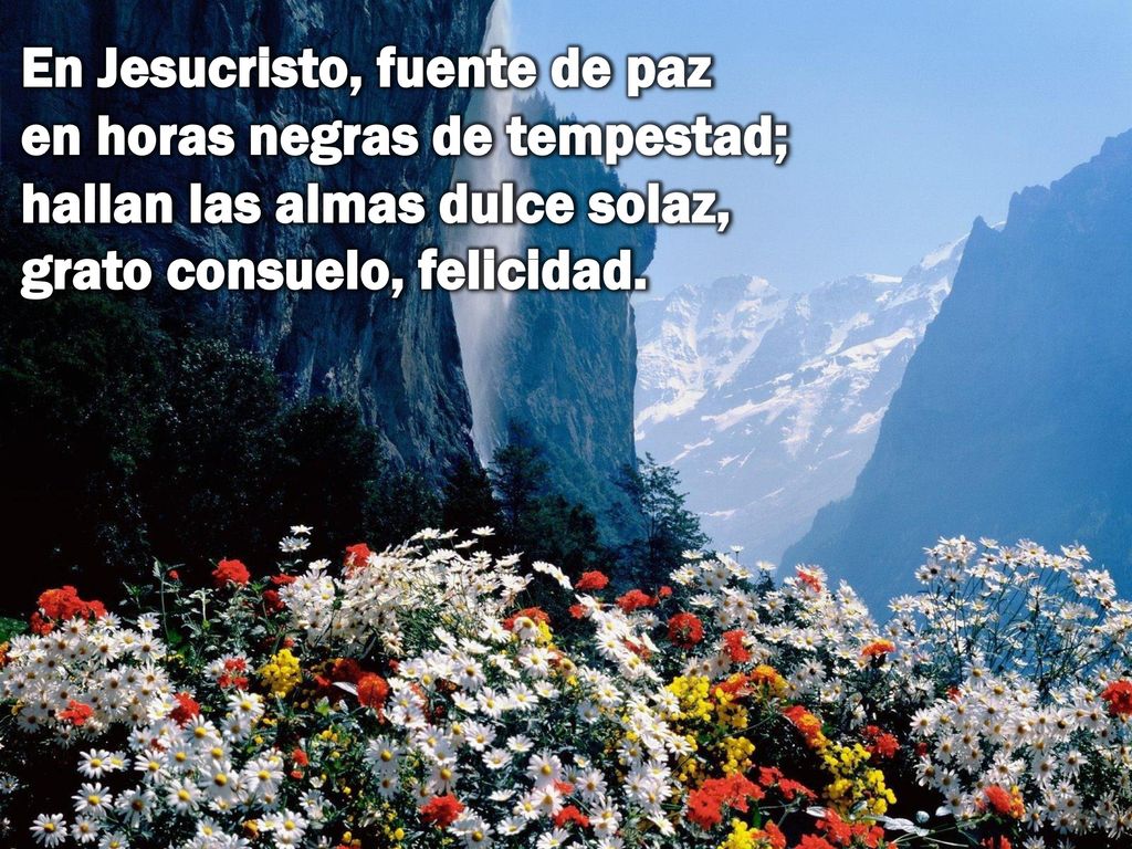 En Jesucristo, fuente de paz en horas negras de tempestad; hallan las almas dulce solaz, grato consuelo, felicidad.