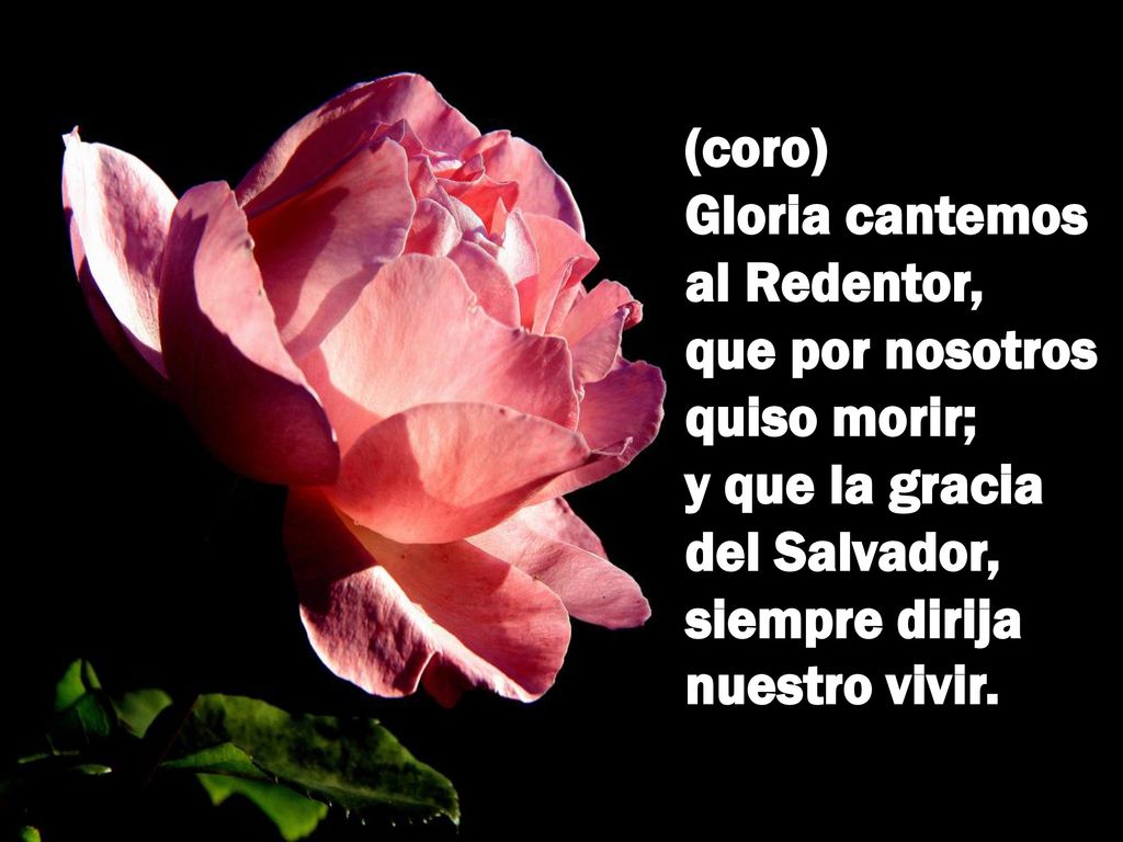 (coro) Gloria cantemos al Redentor, que por nosotros quiso morir; y que la gracia del Salvador, siempre dirija nuestro vivir.