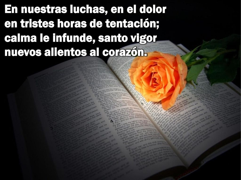 En nuestras luchas, en el dolor en tristes horas de tentación; calma le infunde, santo vigor nuevos alientos al corazón.