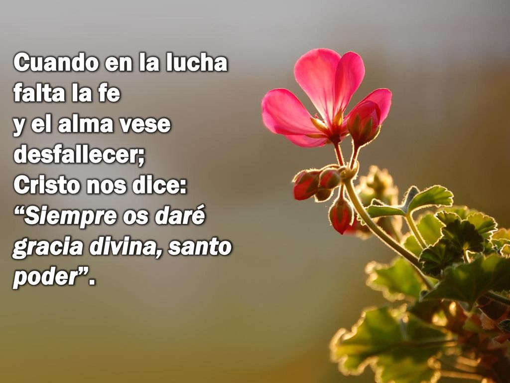 Cuando en la lucha falta la fe y el alma vese desfallecer; Cristo nos dice: Siempre os daré gracia divina, santo poder .