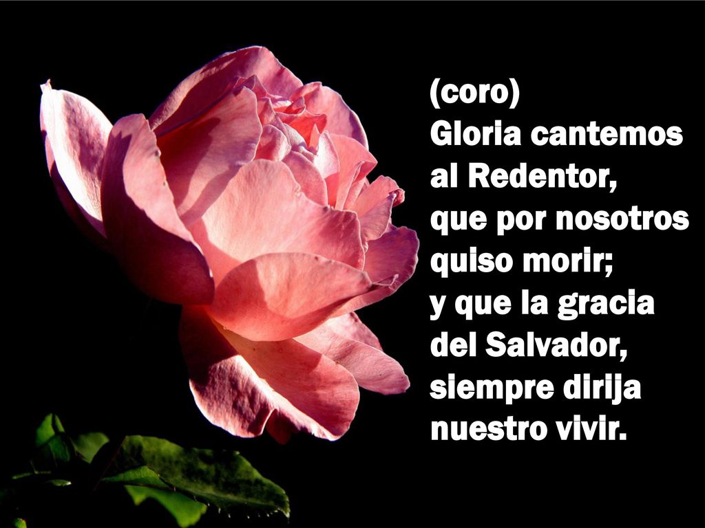 (coro) Gloria cantemos al Redentor, que por nosotros quiso morir; y que la gracia del Salvador, siempre dirija nuestro vivir.
