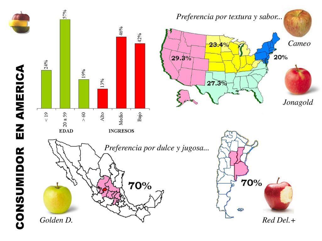 CONSUMIDOR EN AMERICA Preferencia por textura y sabor... Cameo