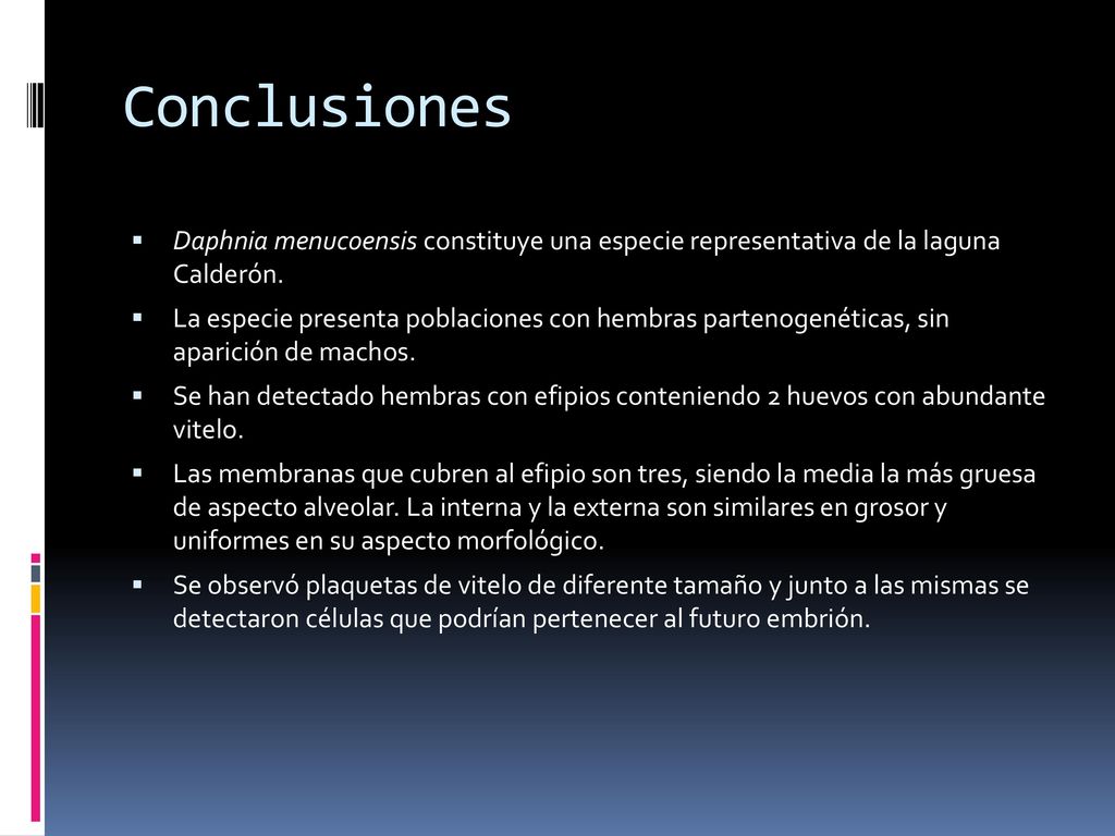 Conclusiones Daphnia menucoensis constituye una especie representativa de la laguna Calderón.