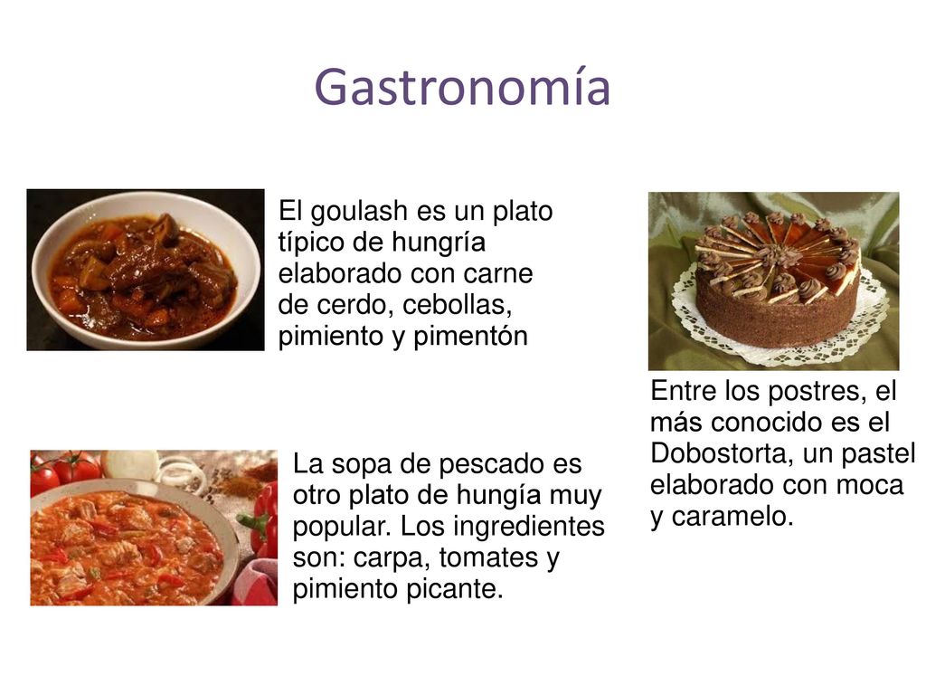 Gastronomía El goulash es un plato típico de hungría elaborado con carne de cerdo, cebollas, pimiento y pimentón.