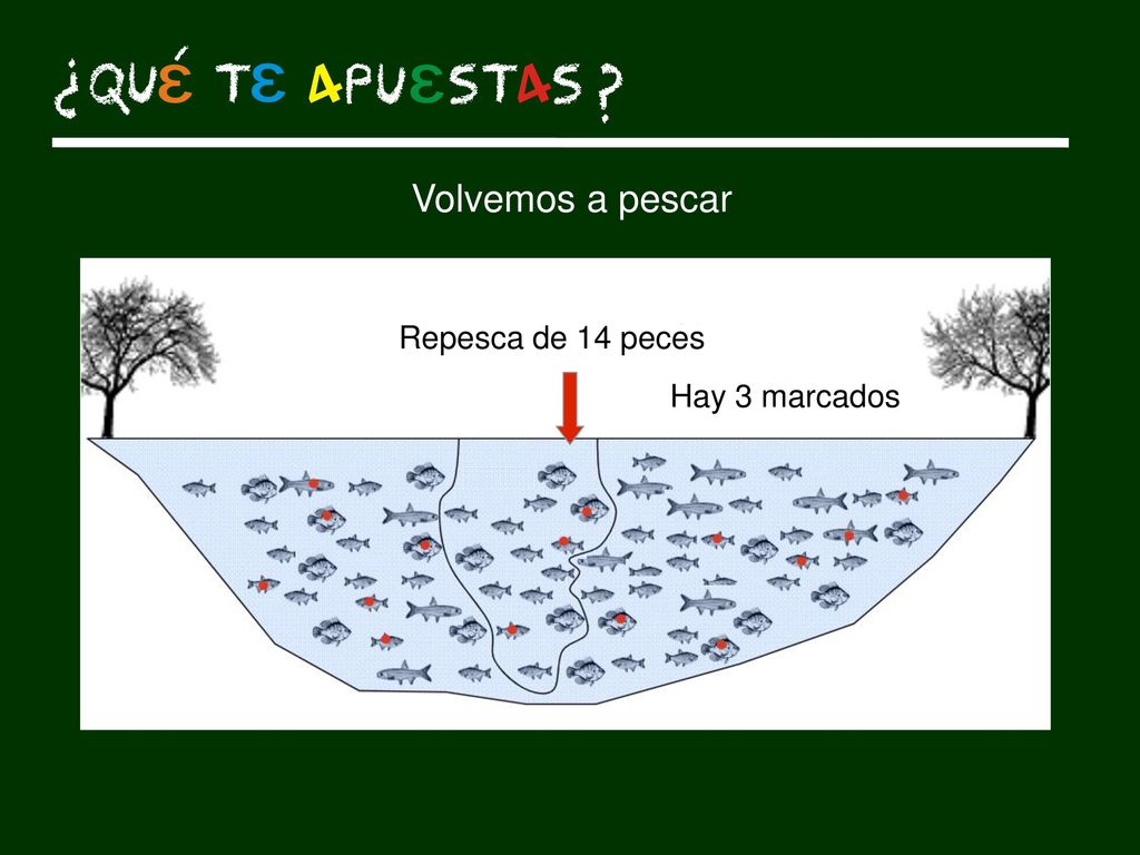 Volvemos a pescar Repesca de 14 peces Hay 3 marcados