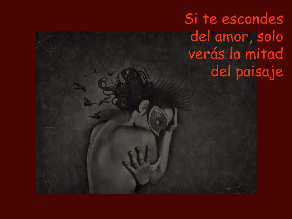 Si te escondes del amor, solo verás la mitad del paisaje