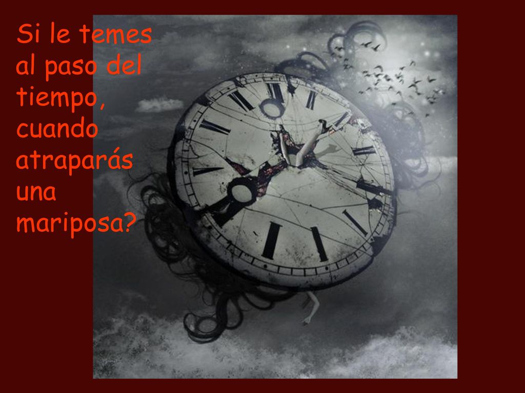 Si le temes al paso del tiempo, cuando atraparás una mariposa