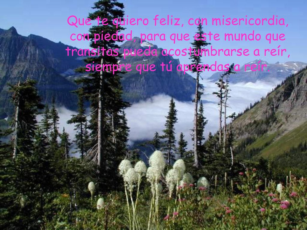 Que te quiero feliz, con misericordia, con piedad, para que este mundo que transitas pueda acostumbrarse a reír, siempre que tú aprendas a reír.
