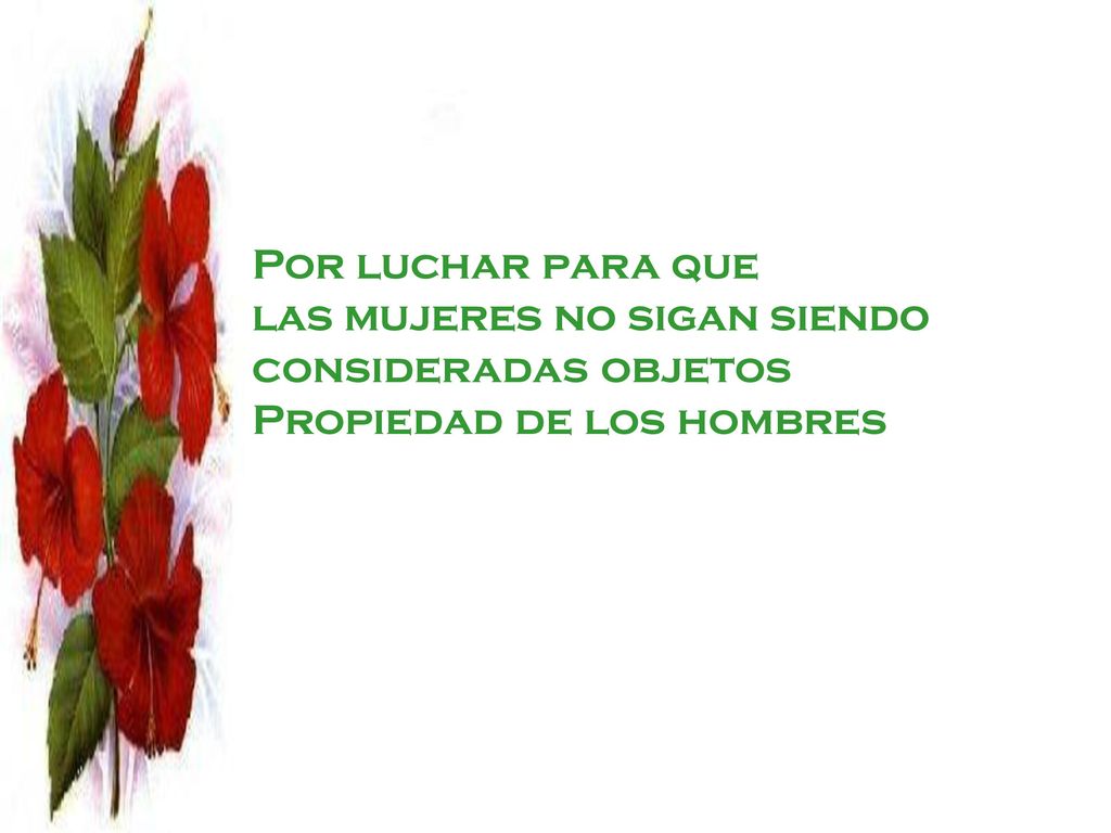 Por luchar para que las mujeres no sigan siendo consideradas objetos Propiedad de los hombres