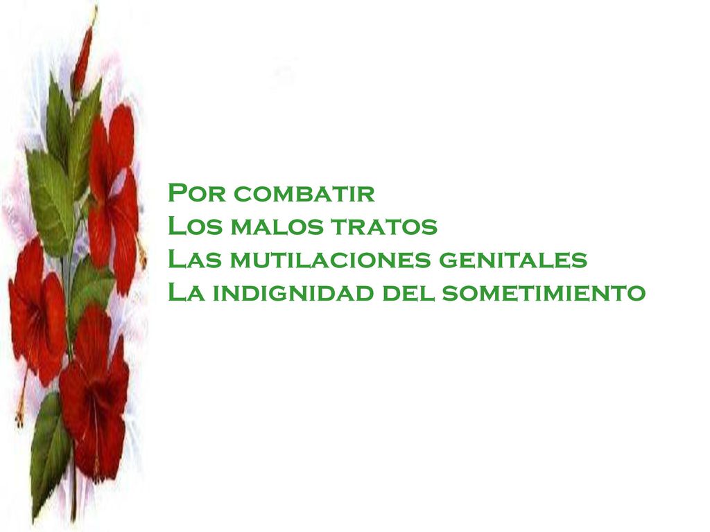 Por combatir Los malos tratos Las mutilaciones genitales La indignidad del sometimiento