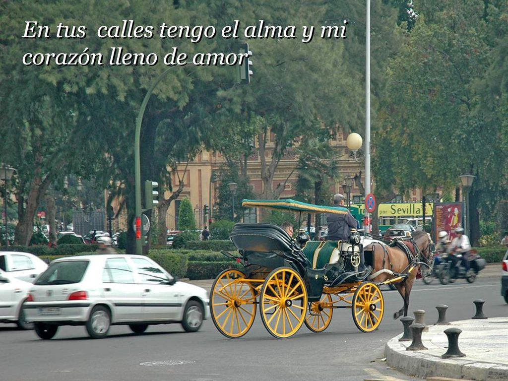 En tus calles tengo el alma y mi corazón lleno de amor