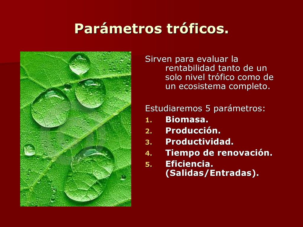 Parámetros tróficos. Sirven para evaluar la rentabilidad tanto de un solo nivel trófico como de un ecosistema completo.