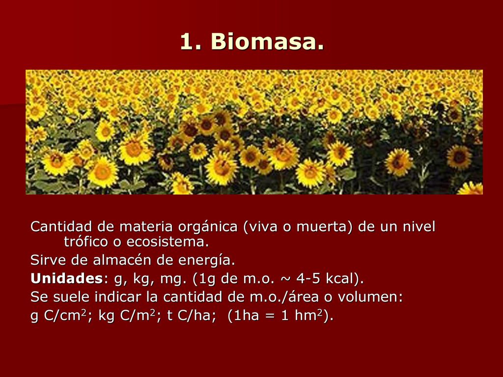 1. Biomasa. Cantidad de materia orgánica (viva o muerta) de un nivel trófico o ecosistema. Sirve de almacén de energía.