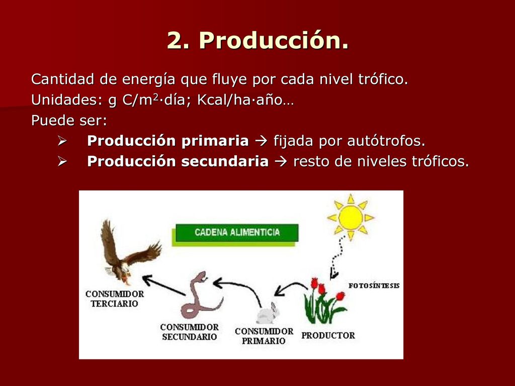 2. Producción. Cantidad de energía que fluye por cada nivel trófico.