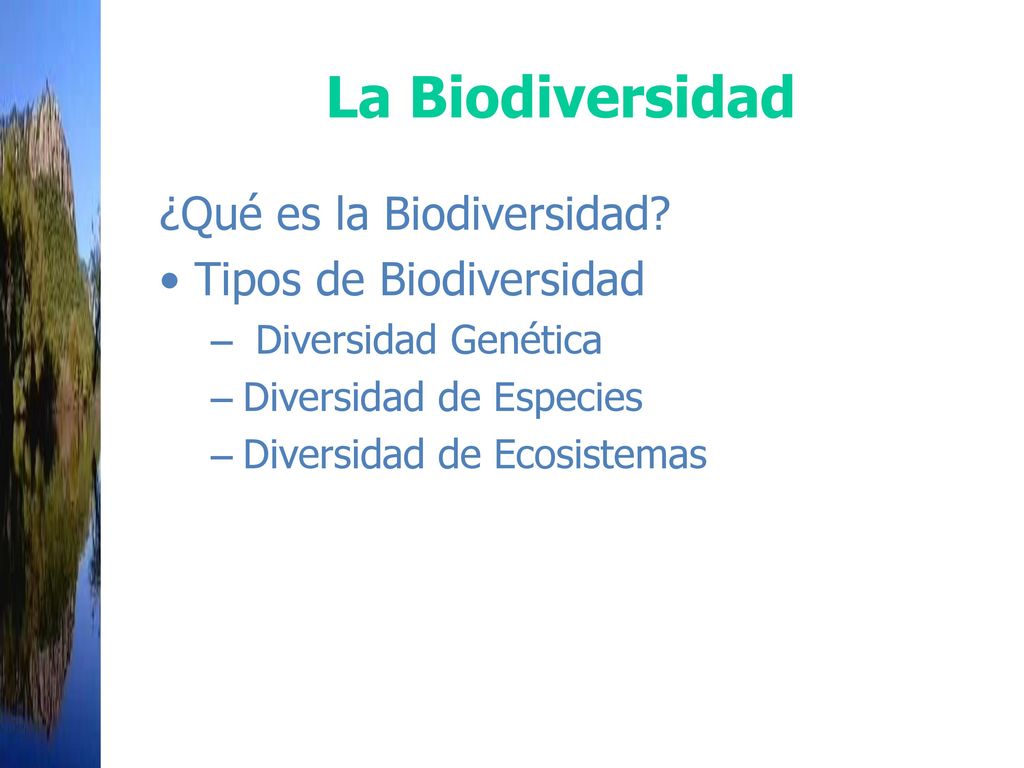 La Biodiversidad ¿Qué es la Biodiversidad • Tipos de Biodiversidad
