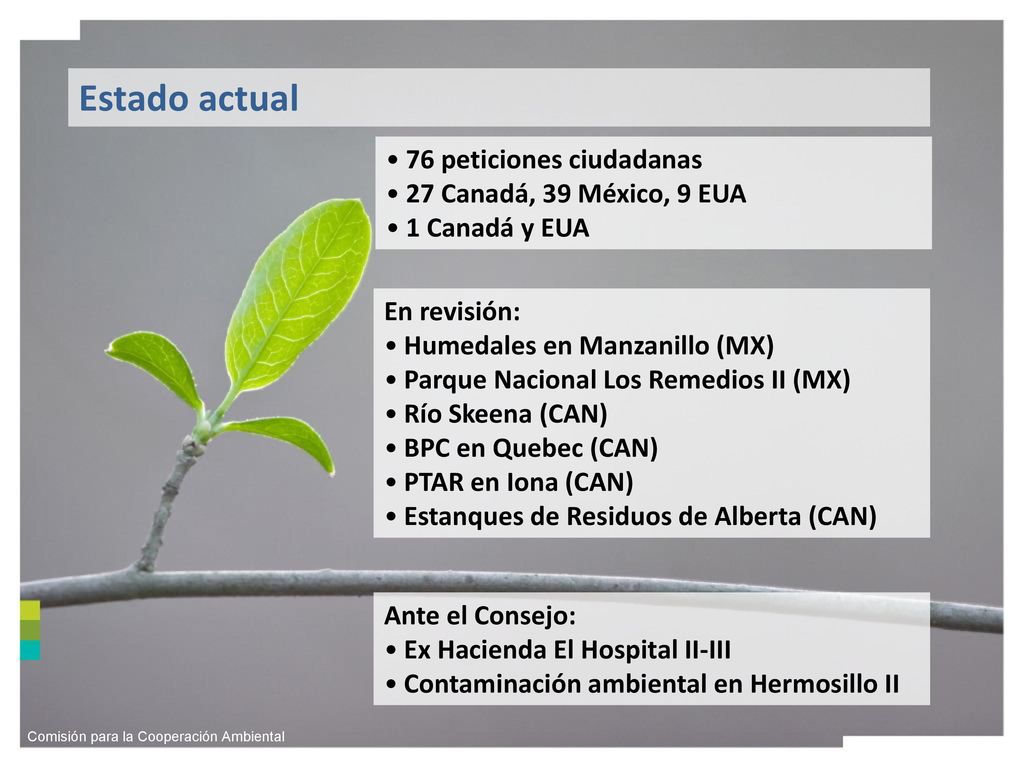 Estado actual 76 peticiones ciudadanas 27 Canadá, 39 México, 9 EUA