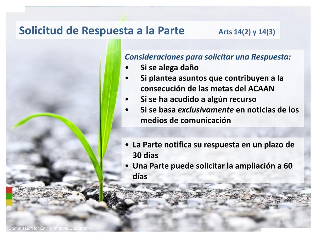 Solicitud de Respuesta a la Parte Arts 14(2) y 14(3)