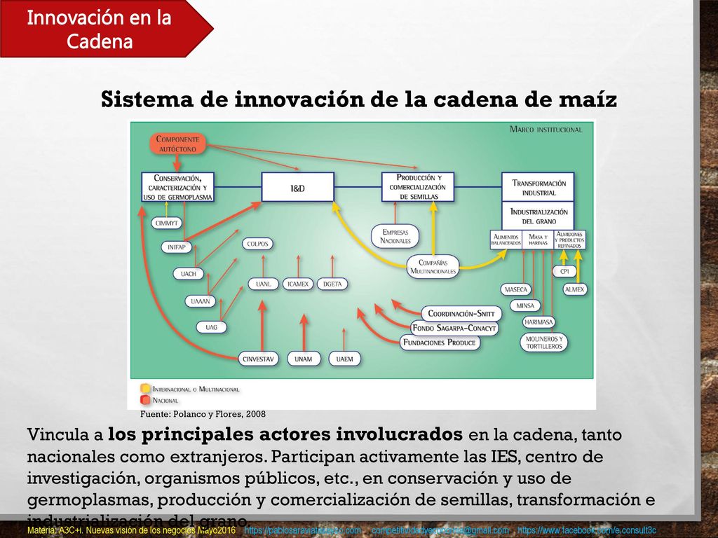 Innovación en la Cadena Sistema de innovación de la cadena de maíz
