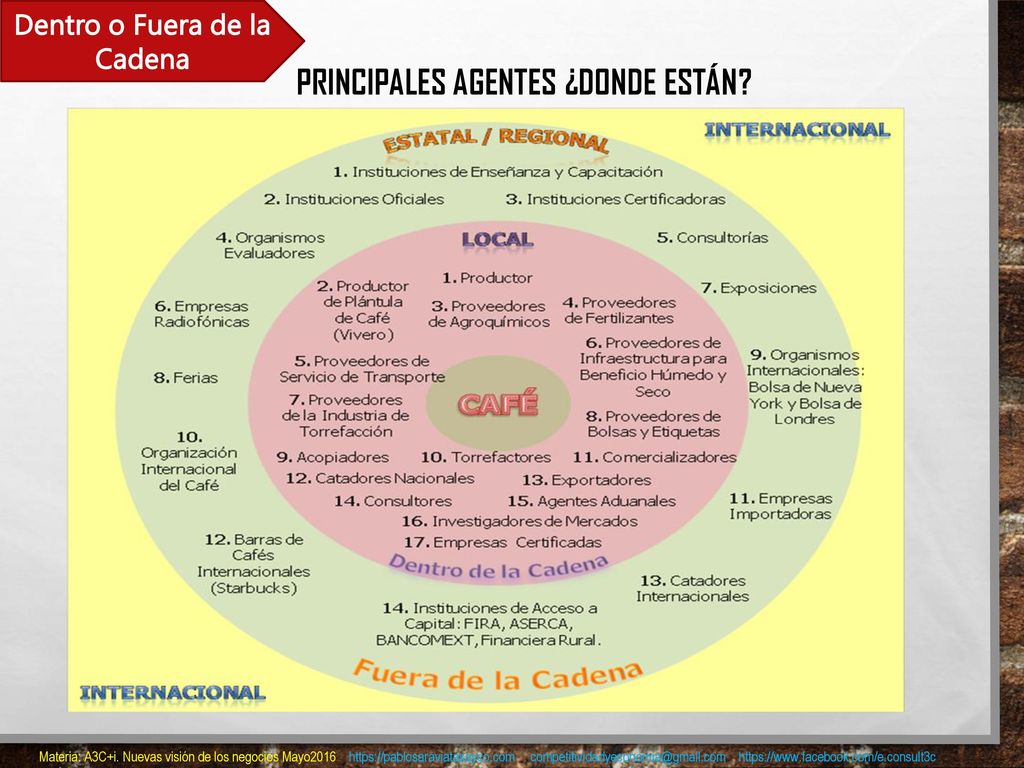 Dentro o Fuera de la Cadena PRINCIPALES AGENTES ¿DONDE ESTÁN