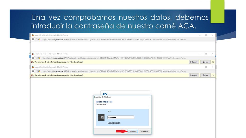 Una vez comprobamos nuestros datos, debemos introducir la contraseña de nuestro carné ACA.