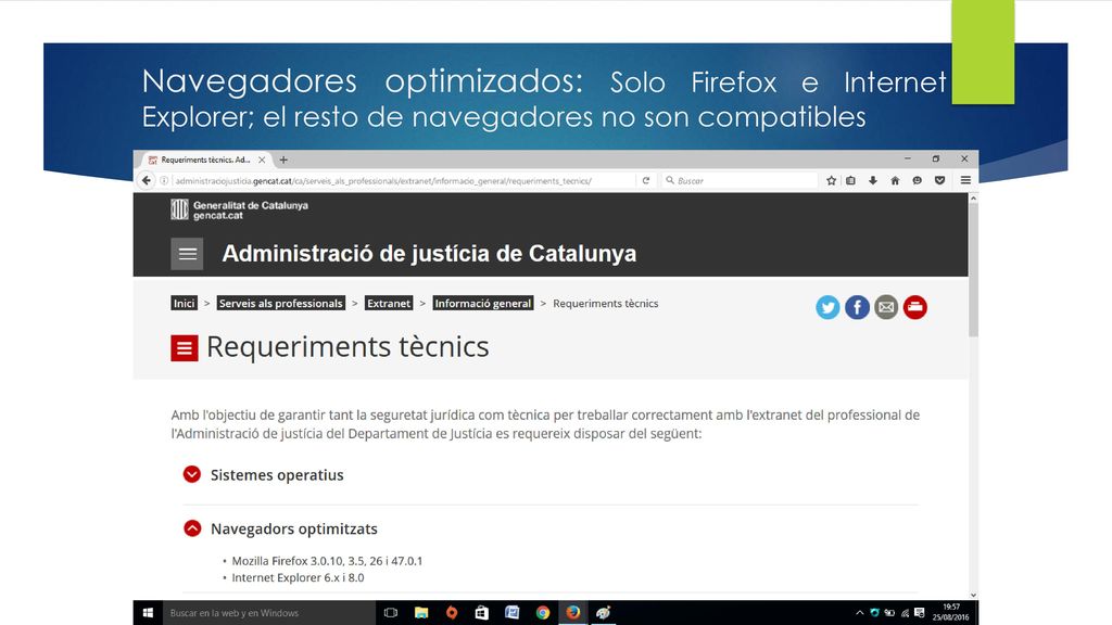 Navegadores optimizados: Solo Firefox e Internet Explorer; el resto de navegadores no son compatibles