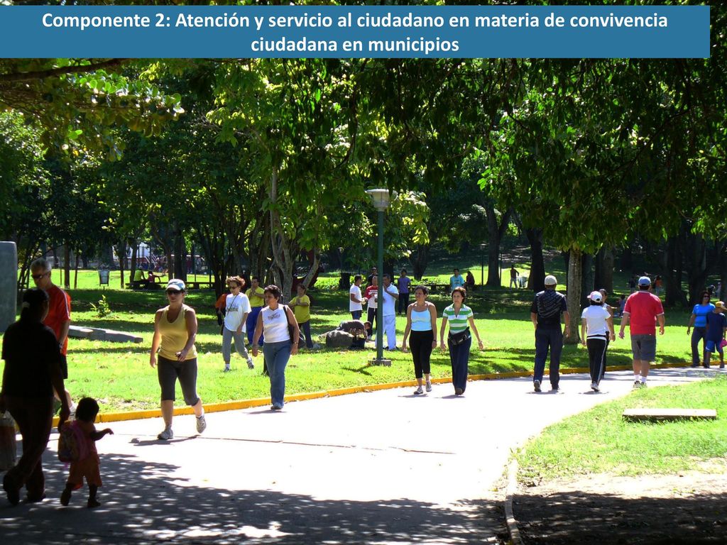Componente 2: Atención y servicio al ciudadano en materia de convivencia ciudadana en municipios