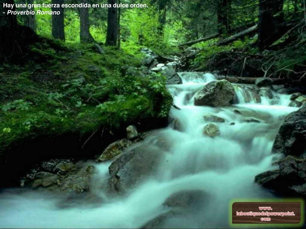 Hay una gran fuerza escondida en una dulce orden. - Proverbio Romano