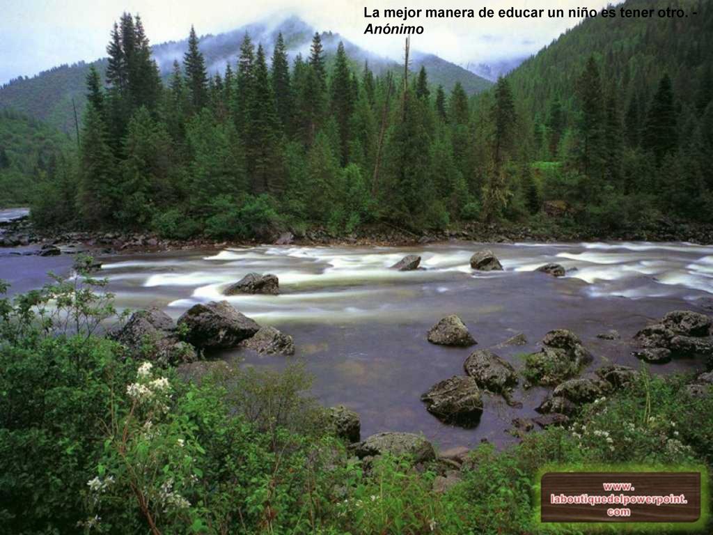 La mejor manera de educar un niño es tener otro. - Anónimo