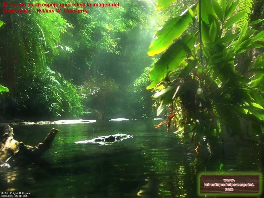 El mundo es un espejo que refleja la imagen del observador. - William W. Thackerry