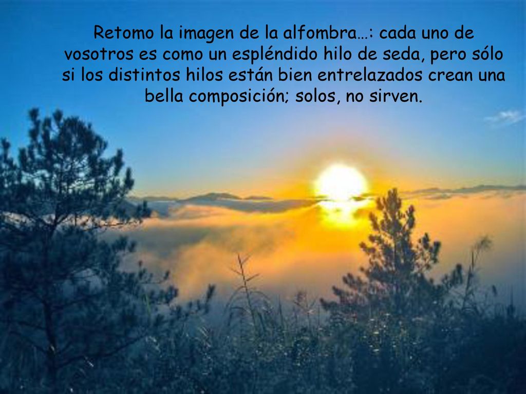 Retomo la imagen de la alfombra…: cada uno de vosotros es como un espléndido hilo de seda, pero sólo si los distintos hilos están bien entrelazados crean una bella composición; solos, no sirven.