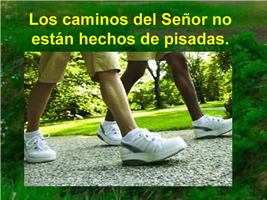 Los caminos del Señor no están hechos de pisadas.