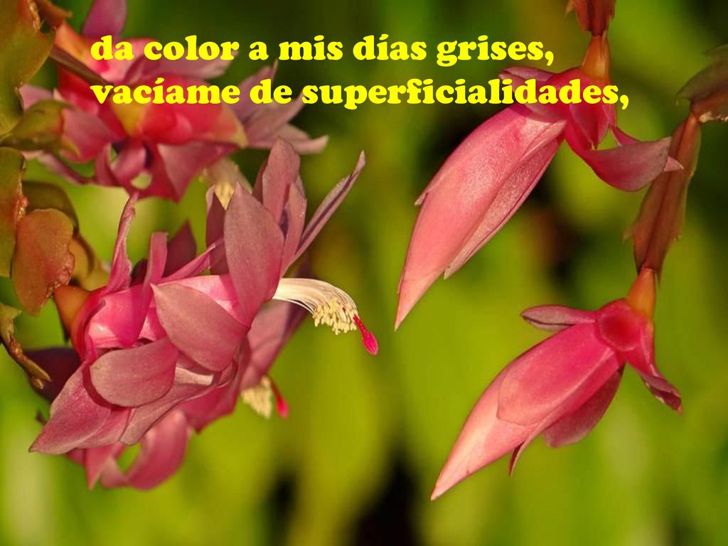 da color a mis días grises,