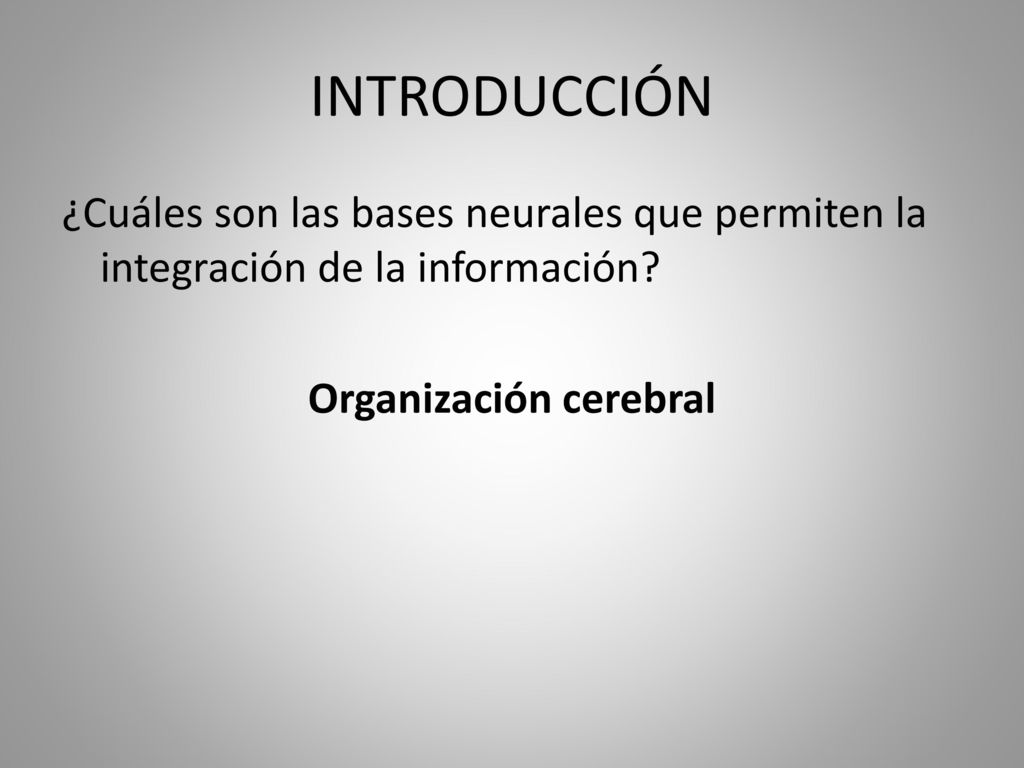 INTRODUCCIÓN ¿Cuáles son las bases neurales que permiten la integración de la información.